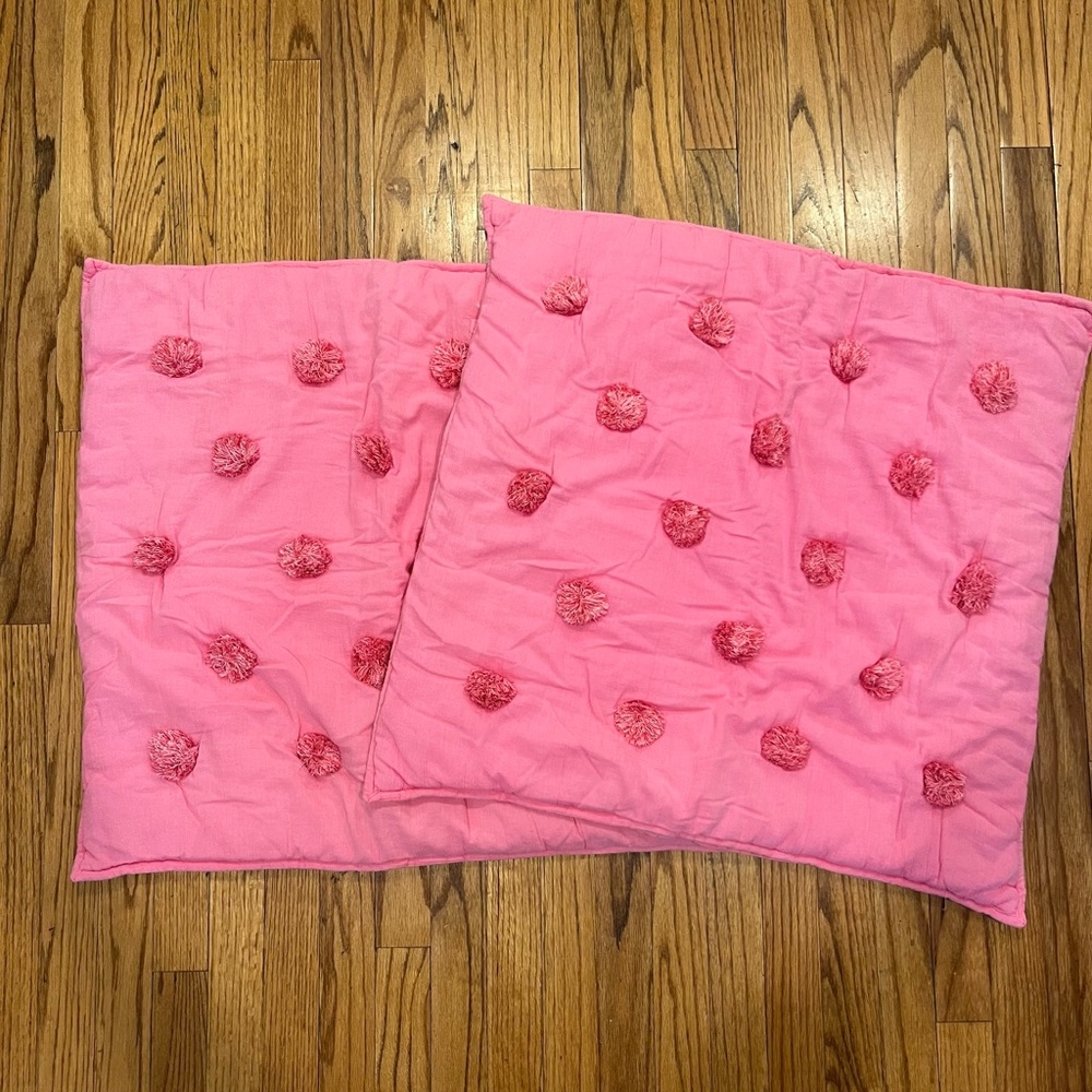 Pottery Barn Teen Euro Crinkle Puff Qulit Sham (2), 26”x26”